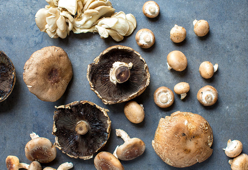 Making the Most of your Mushrooms