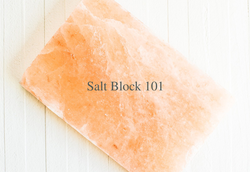 Salt Block 101