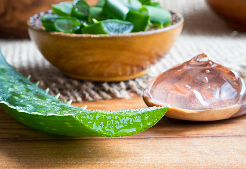 Staying Cool in the Summer: The Benefits of Aloe Vera
