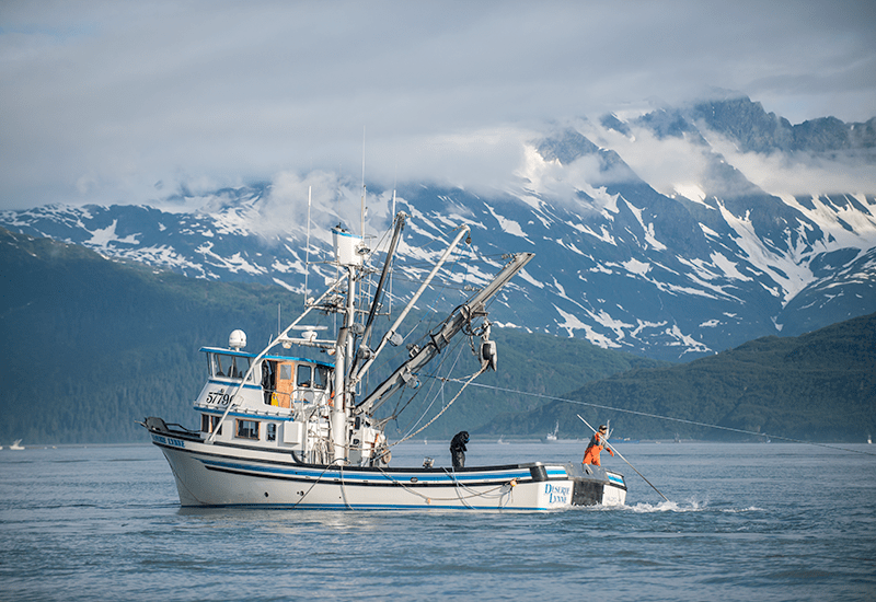 Flying Fish: Heinen’s Direct Overnight Seafood Program