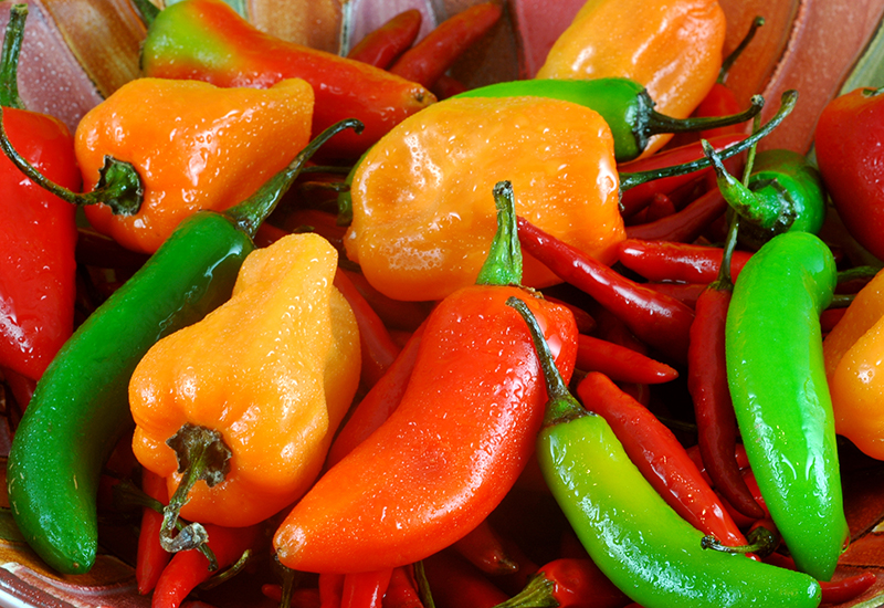 Peppers 101: A Guide to Selecting and Enjoying the Most Popular Peppers