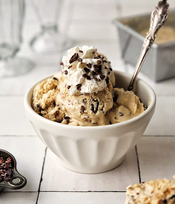 Vegan & Sugar-Free Peanut Butter Ice Cream
