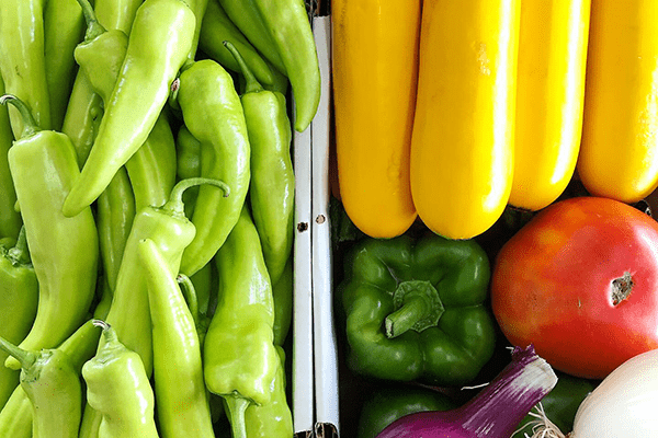 An assortment of fresh green banana peppers, yellow squash, green bell peppers and tomatoes