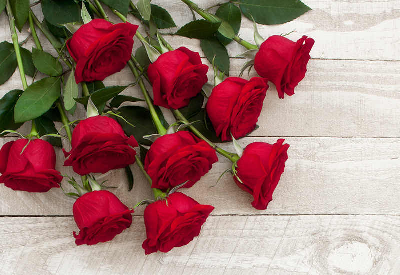 7 ways to make your Valentine's Day roses last longer