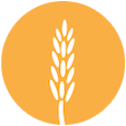 Grain-free product icon