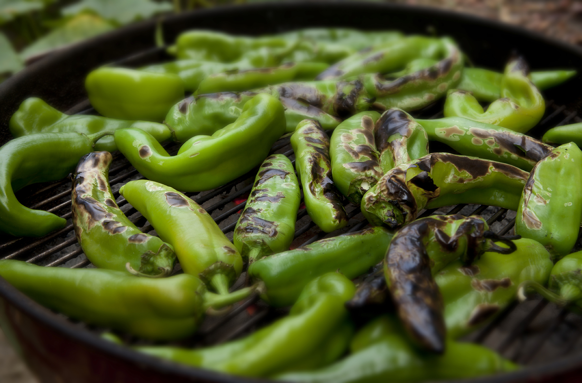 What are Hatch Chile Peppers Heinen's Grocery Store